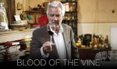 Blood of the Vine